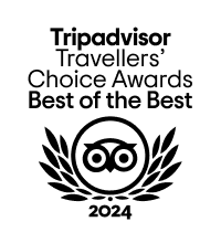 TripAdvisor Award