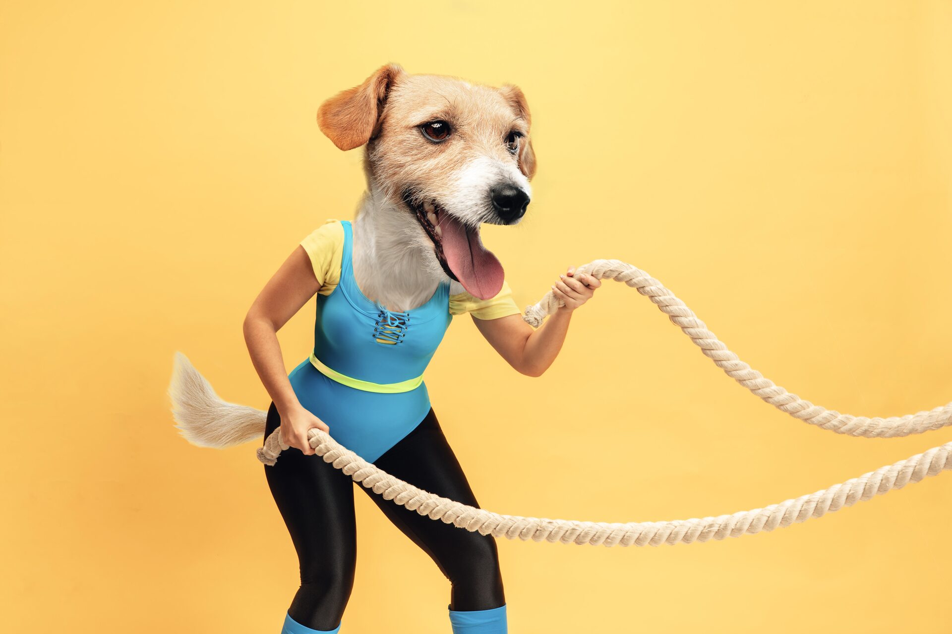 Strength & Metabolism